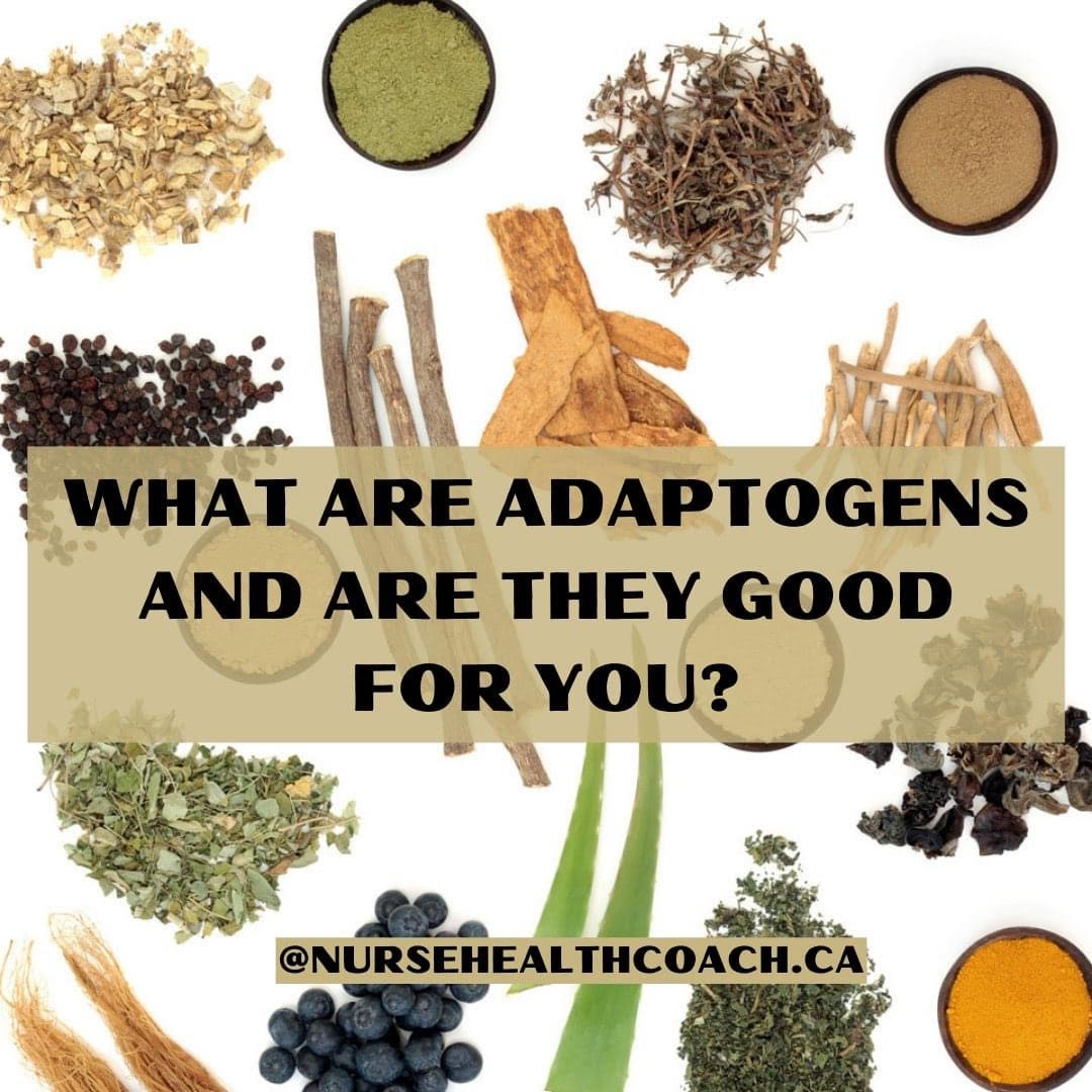 What are adaptogens?